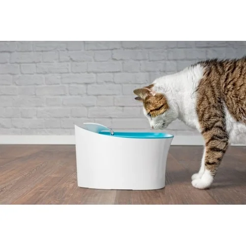 Mey İthalat® Otomatik Uyarılı Kedi Köpek Su Kabı