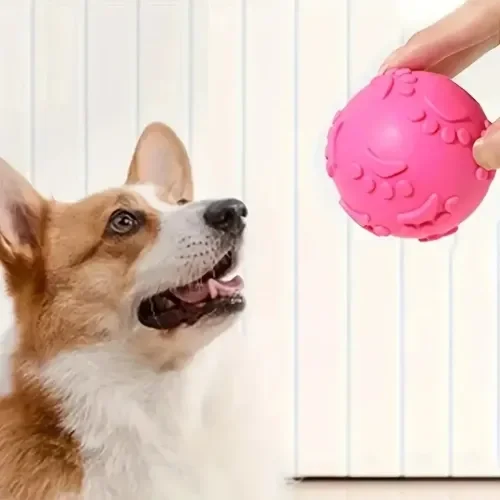 Mey İthalat® Pati Desenli Köpek Isırma Topu