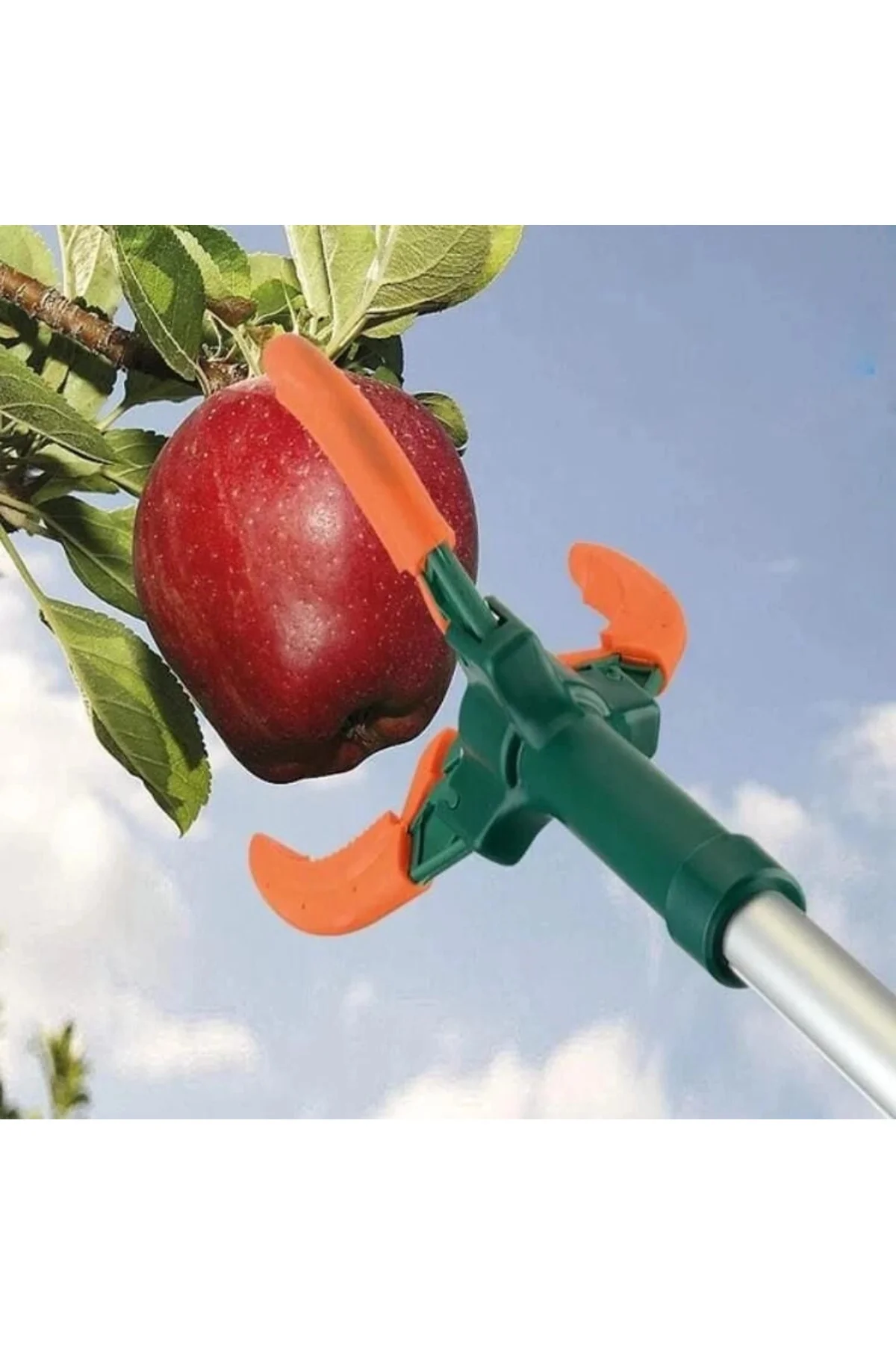 Mey İthalat® PG190 Yüksel Dal Meyve Toplayıcı 190 cm