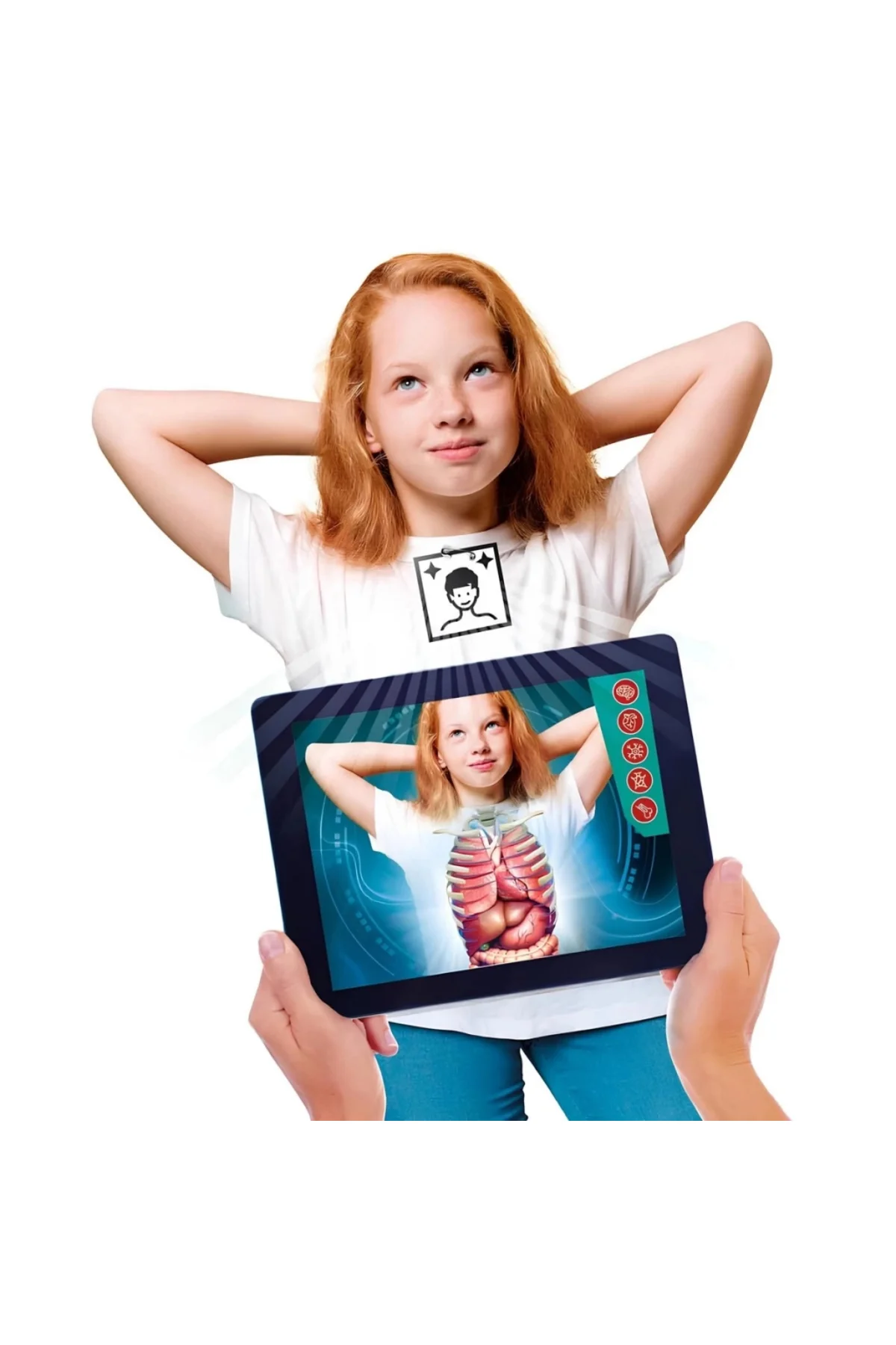 Mey İthalat® Süper Anatomi