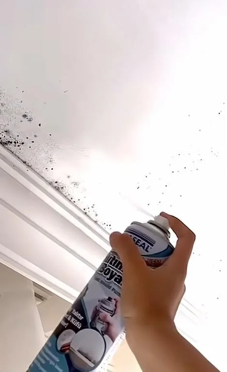 Mey İthalat® Vodaseal Anti Küf Yalıtım Boyası Sprey 500 ml