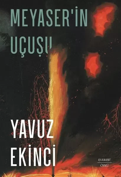 Meyaser’in Uçuşu Fiyatı, Yorumları ve Özellikleri