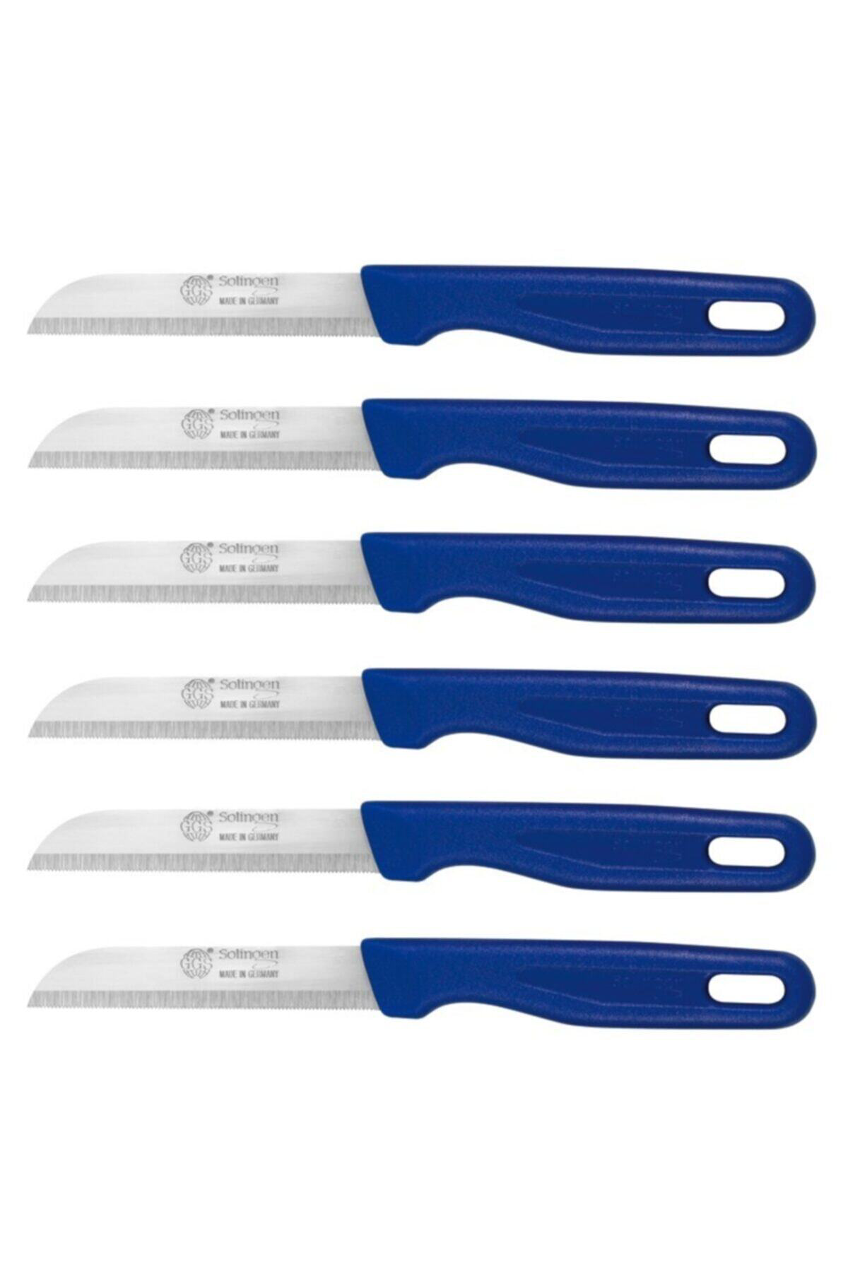 Solingen Meyve Bıçağı 6'Lı Mavi