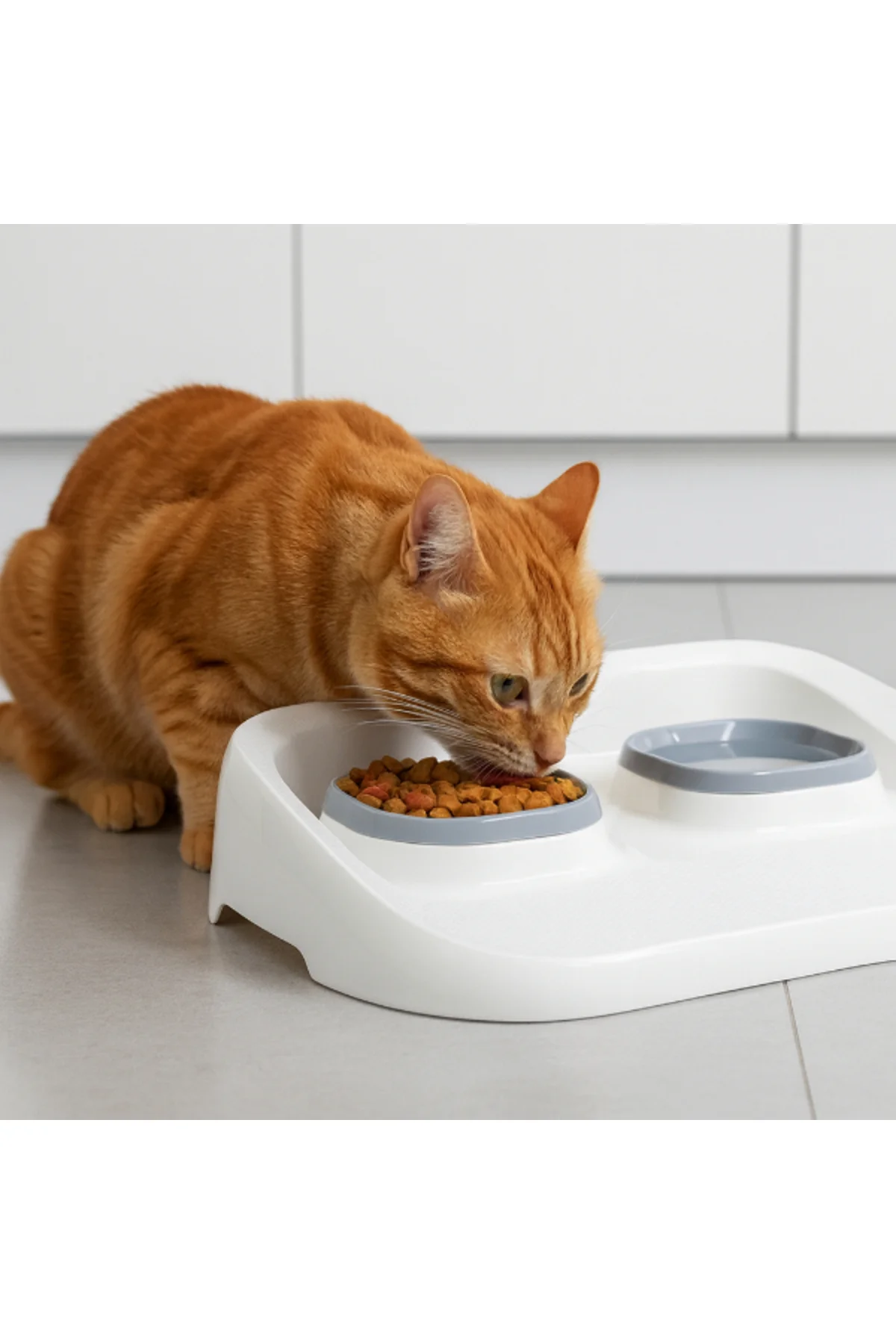 Mikopet Gri 2'si 1 Arada Mama Ve Su Kabı