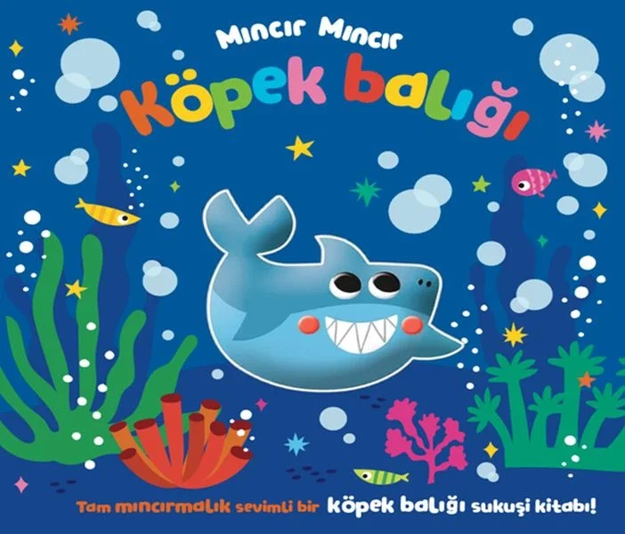 Mıncır Mıncır Köpek Balığı Fiyatı, Yorumları ve Özellikleri