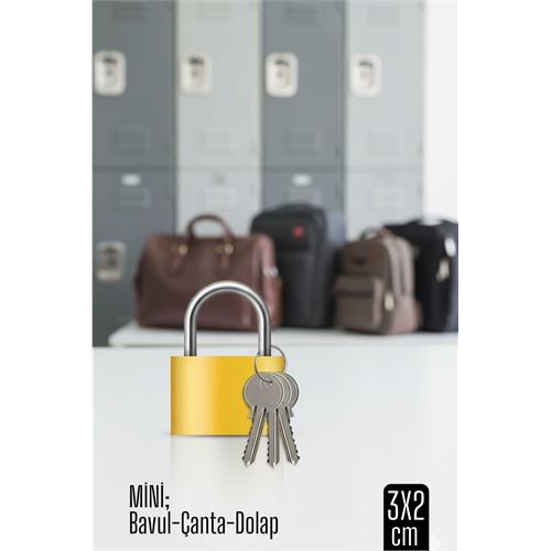 Mini 20mm Bavul ve Çanta Asma Kilidi – 3 Anahtarlı, Dolap ve Seya