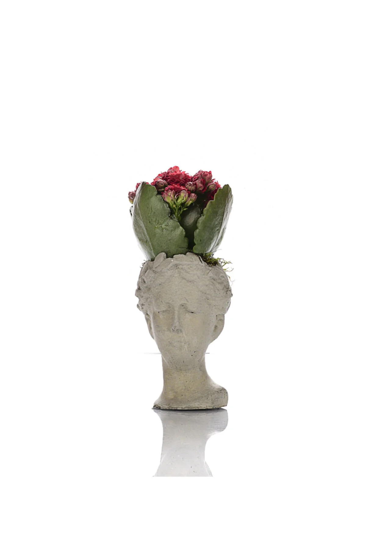 Mini Helen Saksıda Kalanchoe