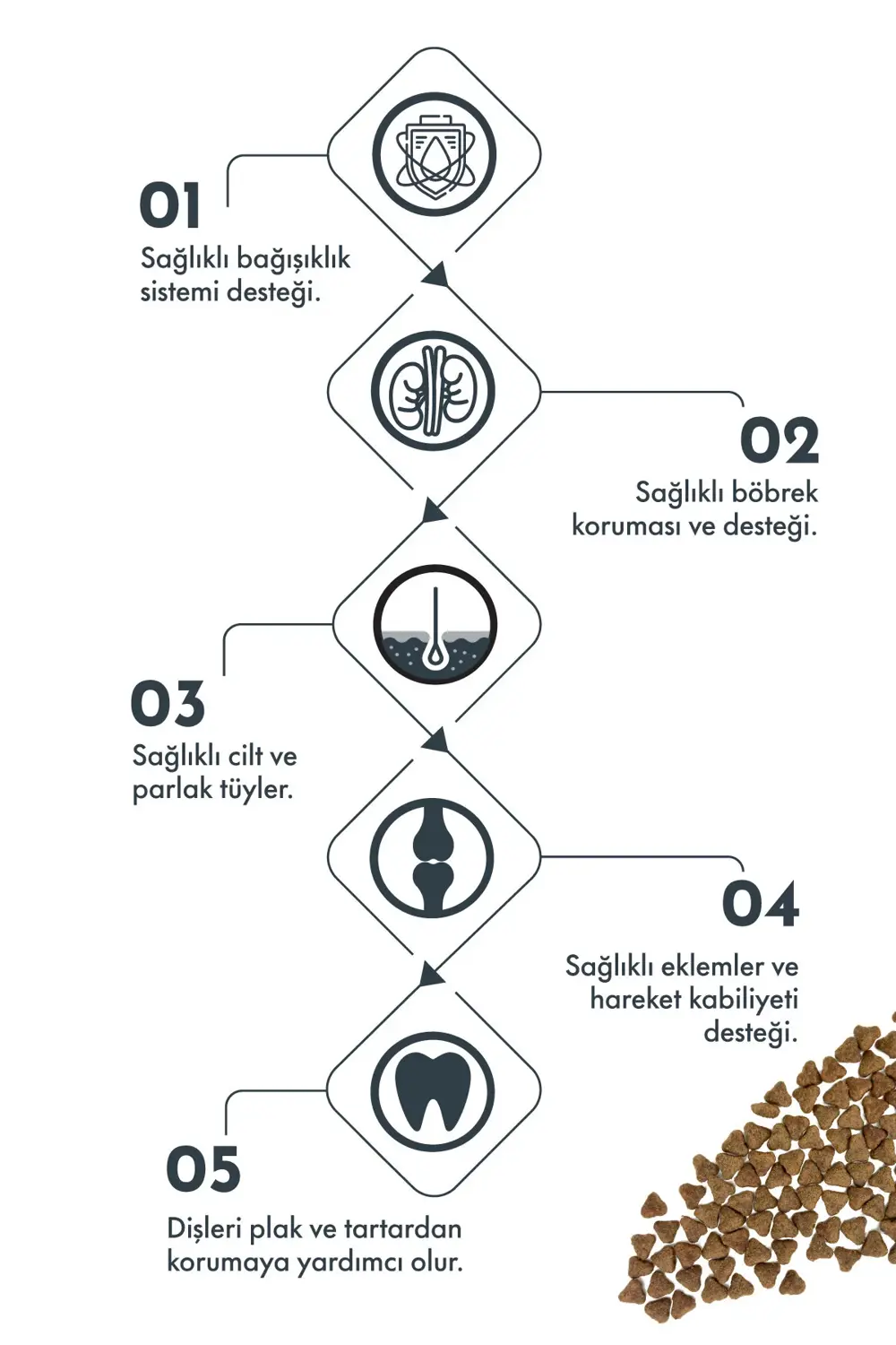 Pro Performance Mini Lıght Sterılısed Lamb Blueberry 2 Kg