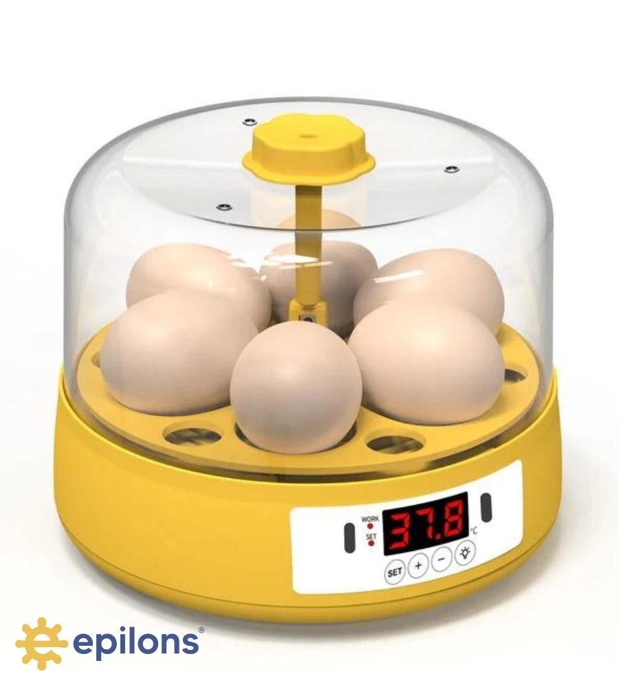 Mini Otomatik Ev Tipi Kuluçka: Elektrikli Tavuk Ve Kuş Kuluçka Ma Mini Otomatik Ev Tipi Kuluçka: Elektrikli Tavuk Ve Kuş Kuluçka Ma