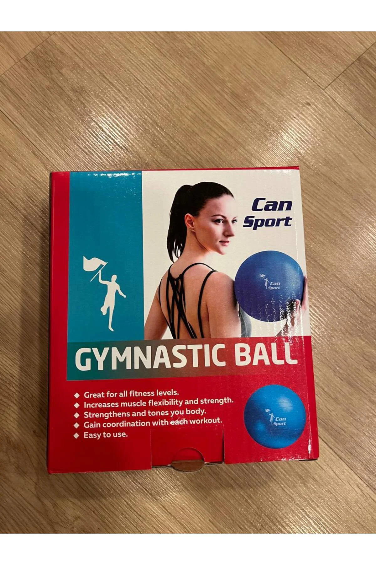 mini pilates topu