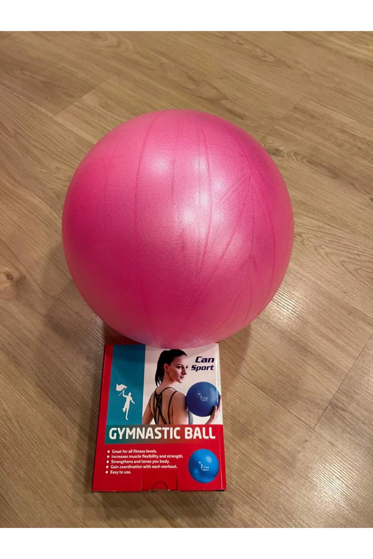 mini pilates topu