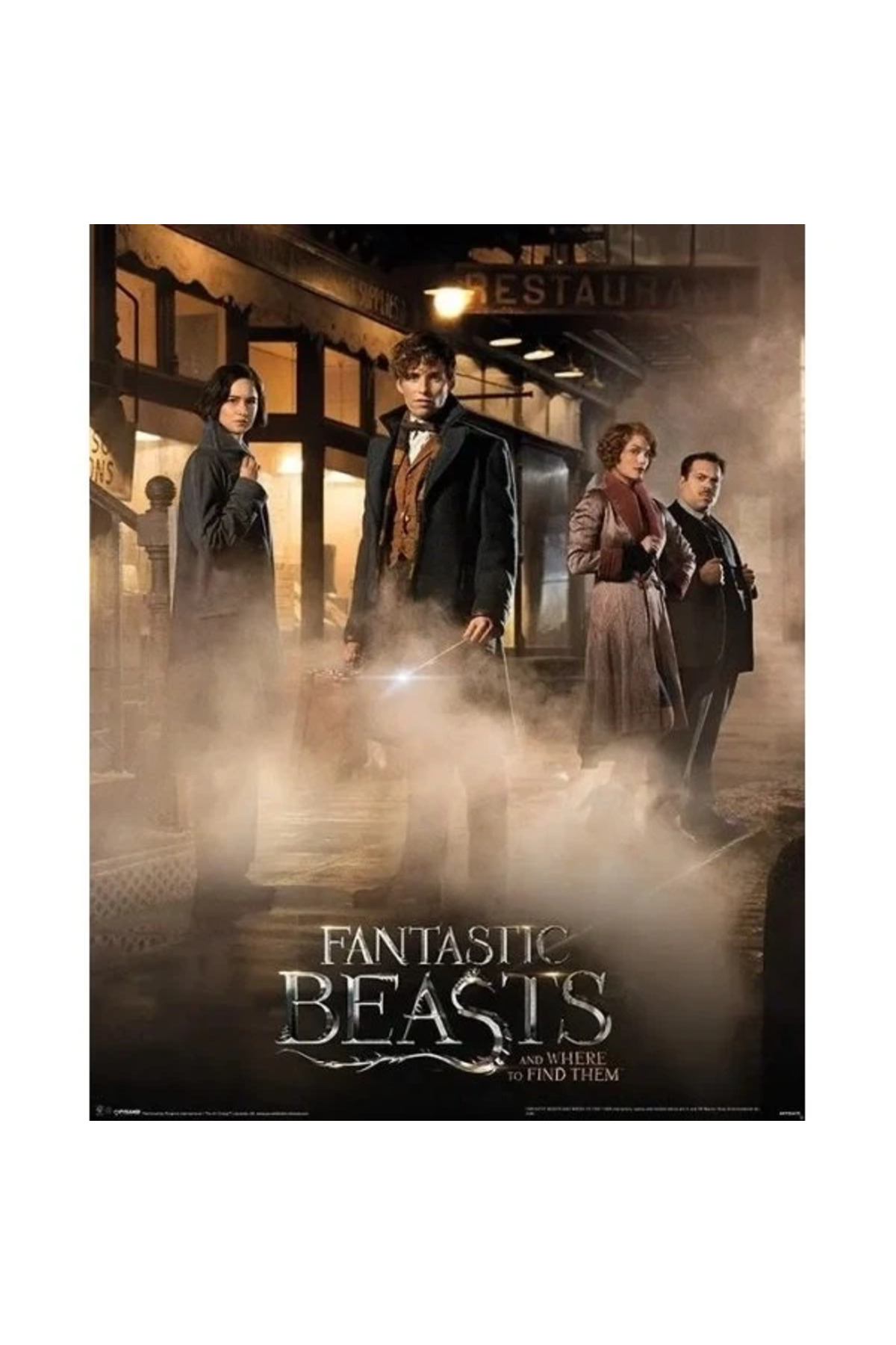 Mini Poster Fantastic Beasts Magical Group