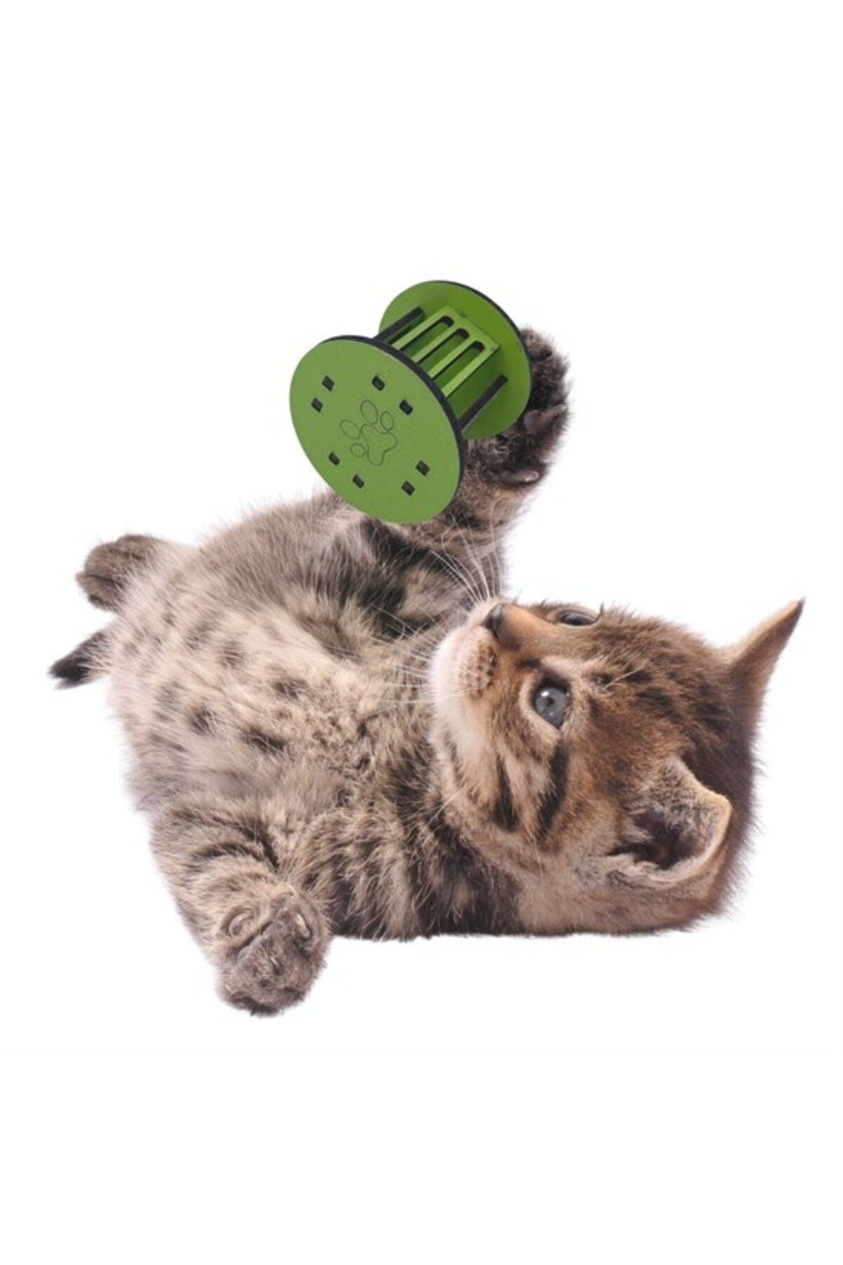 Ok Aksesuar Mini Silindir Eğlenceli Renkli Sağlam Küçük Pati İzi Şekilli Kedi Ok Aksesuar Mini Silindir Eğlenceli Renkli Sağlam Küçük Pati İzi Şekilli Kedi