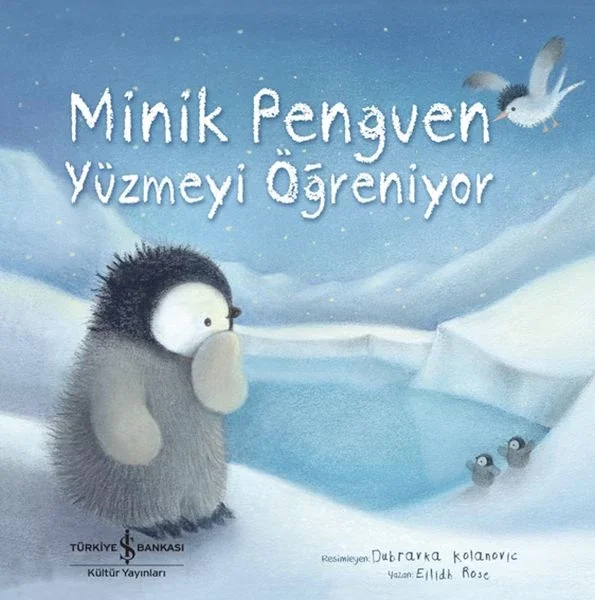 Minik Penguen Yüzmeyi Öğreniyor Minik Penguen Yüzmeyi Öğreniyor