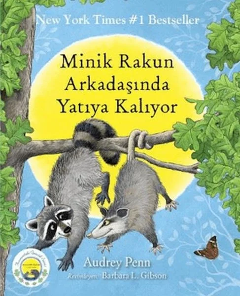 Minik Rakun Arkadaşında Yatıya Kalıyor Fiyatı, Yorumları ve Özellikleri