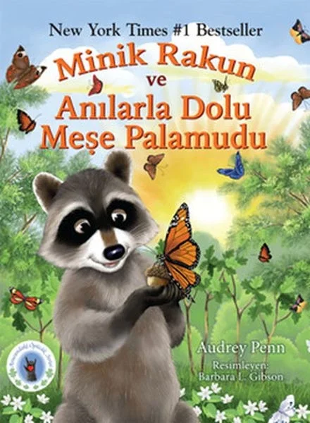 Minik Rakun ve Anılarla Dolu Meşe Palamudu Fiyatı, Yorumları ve Özellikleri