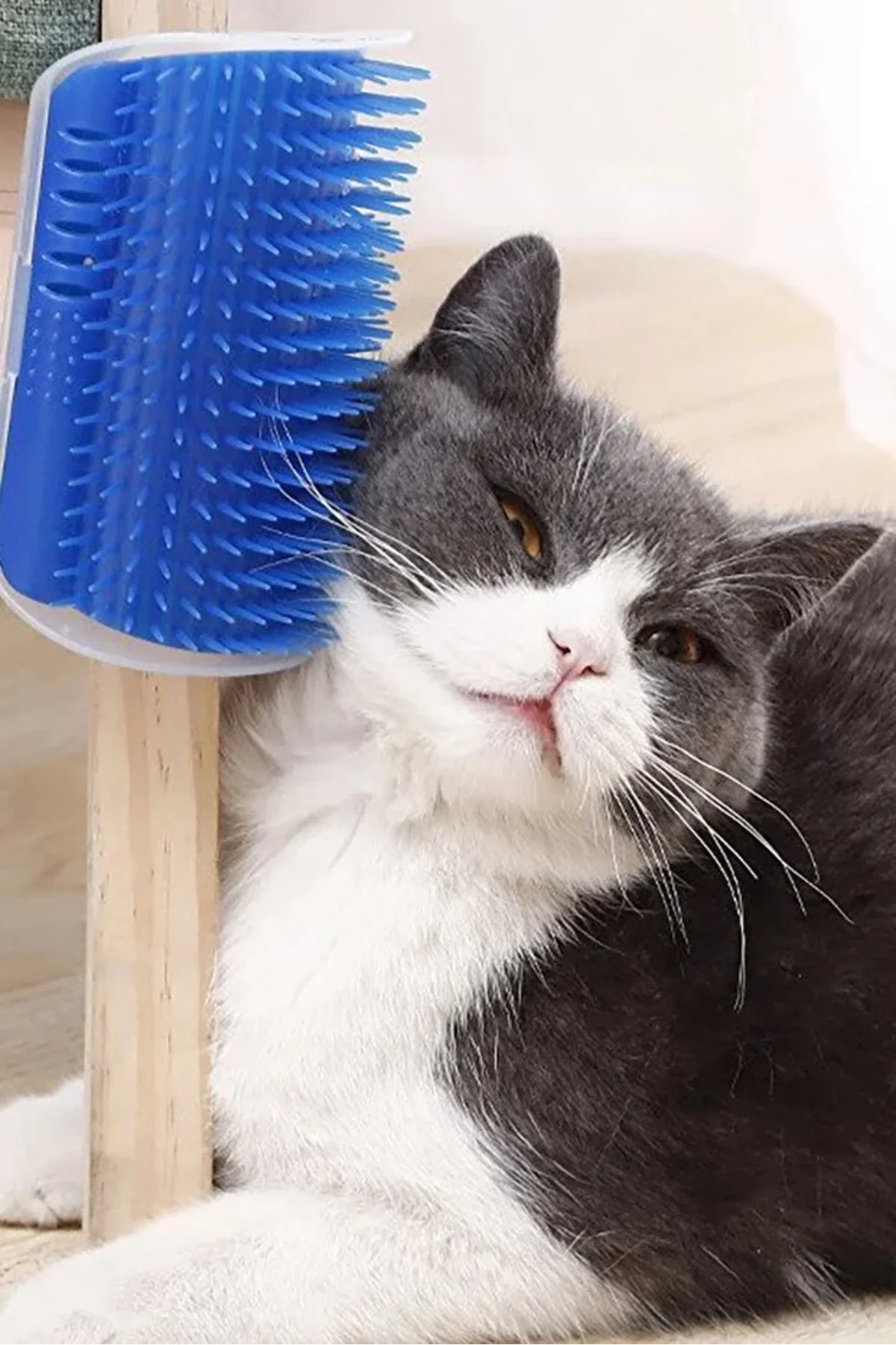 Mintola Kedi Kaşıma - Kaşınma Aparatı (KEDİ NANESİ HEDİYELİ)