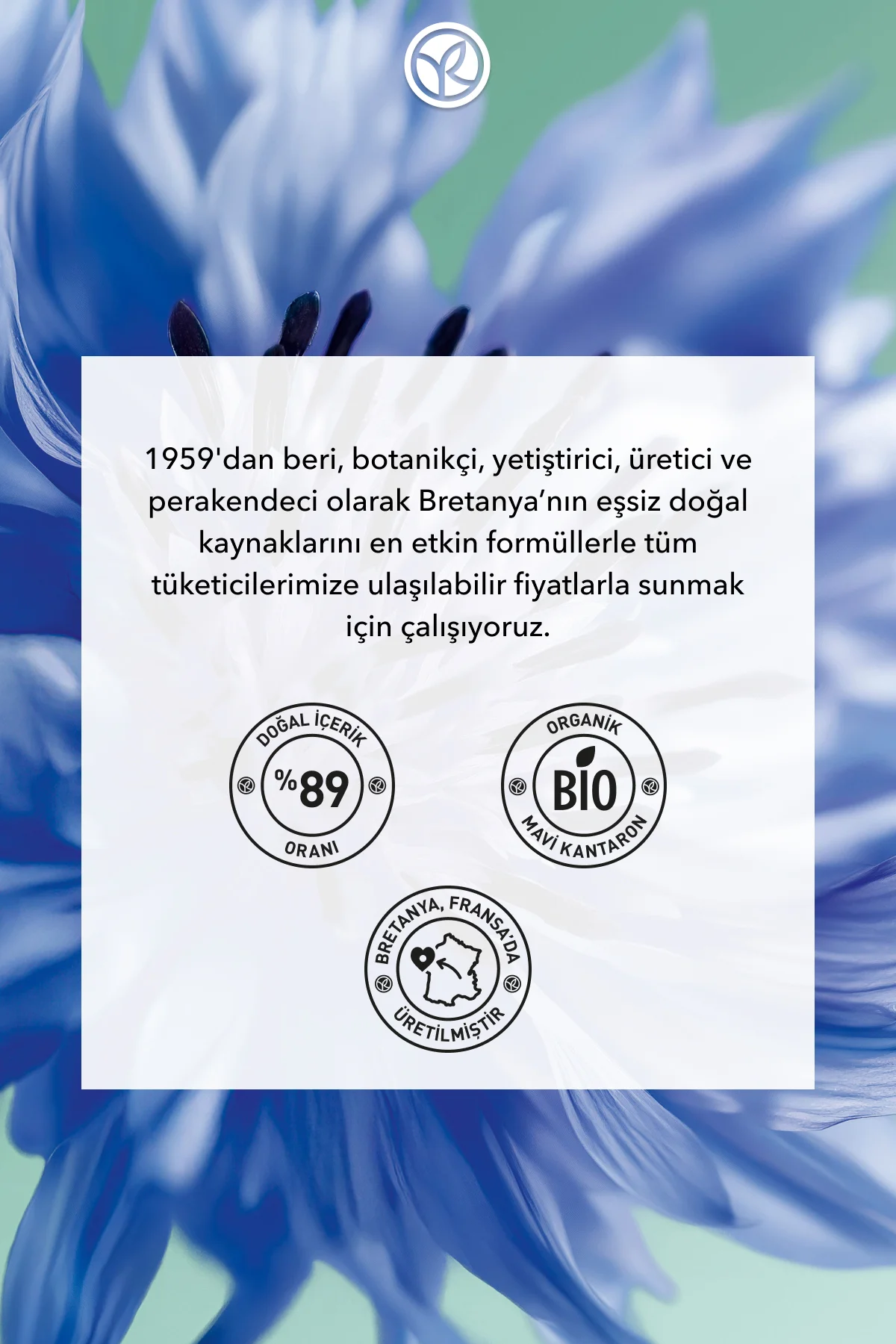 Miraculous Definition Panoramik Etkili Ayırıcı Hacim Maskara - Su