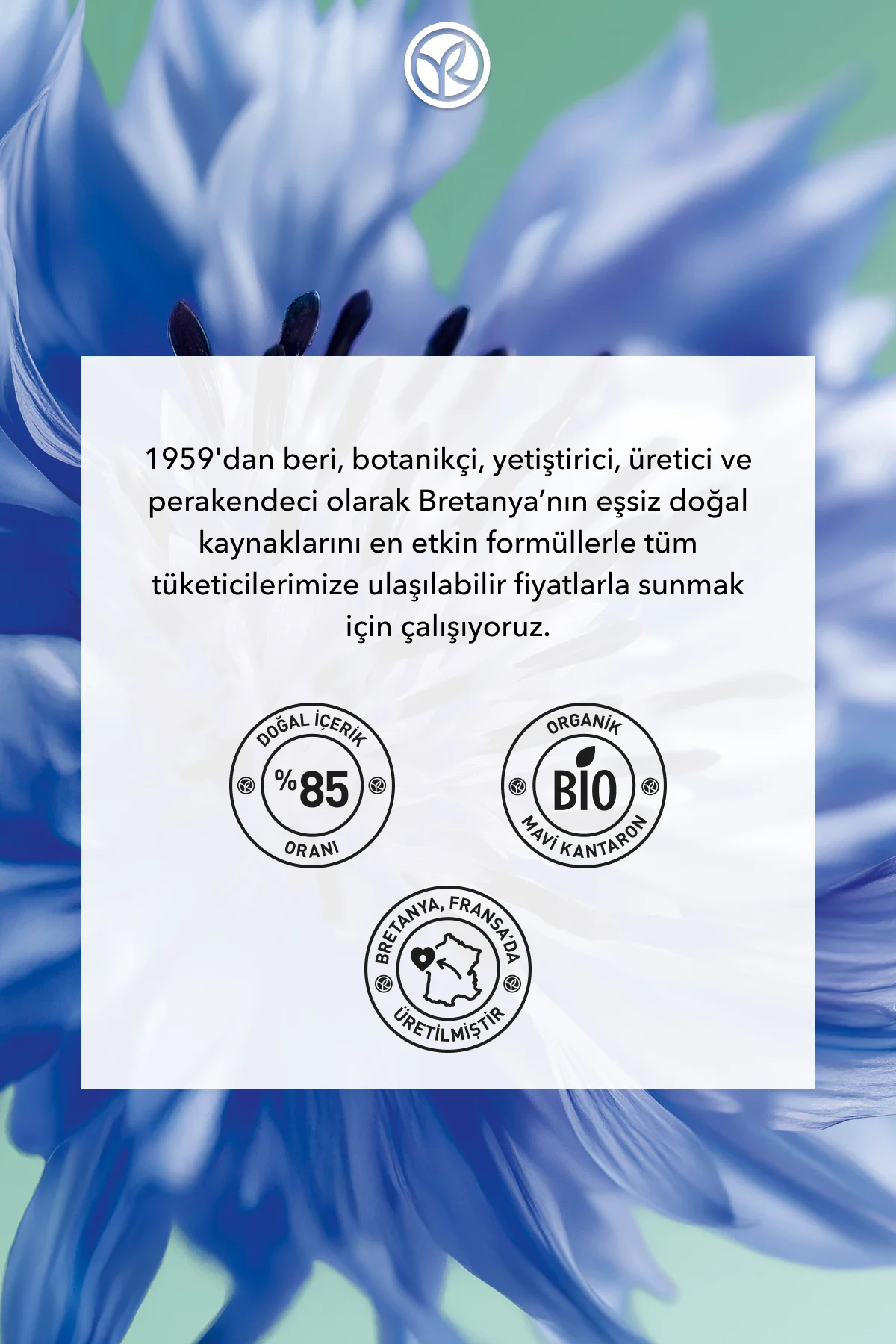 Miraculous Definition Panoramik Etkili Ayırıcı Hacim Maskara - Si