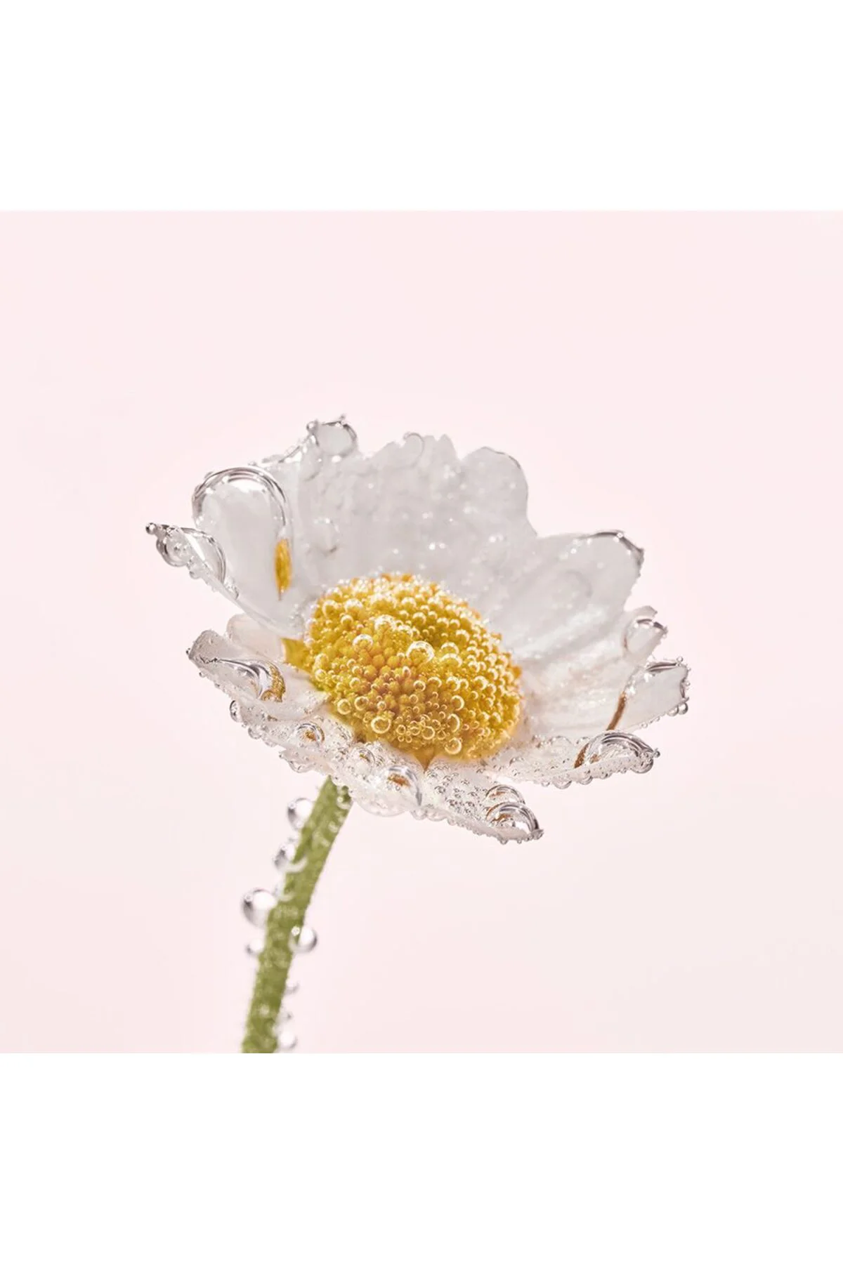 Miseler Su - Hassas Cilt / Pure Camomille 400 ml