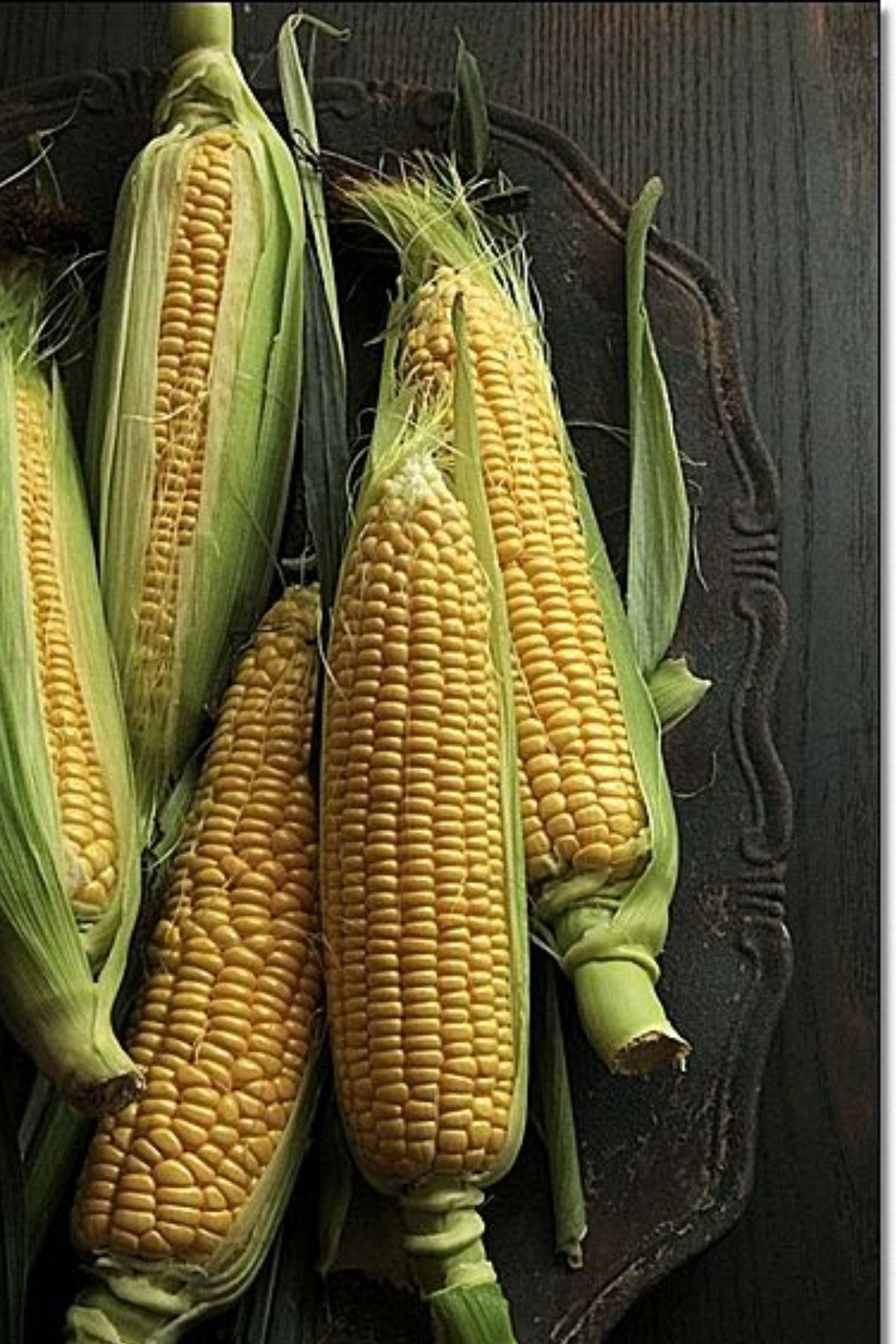 Total Tarım Mısır Tohumu 100 Adet