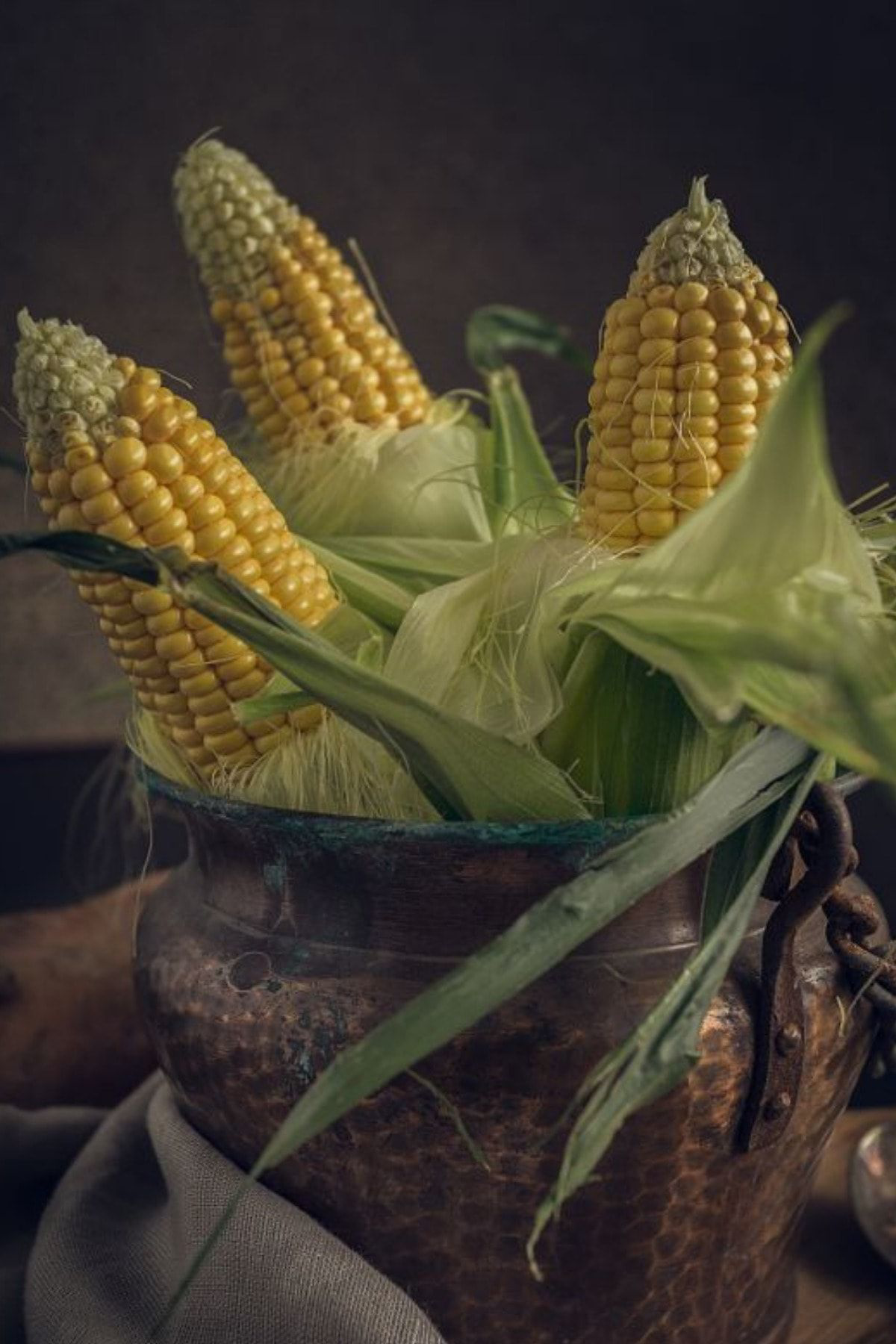 Total Tarım Mısır Tohumu 100 Adet