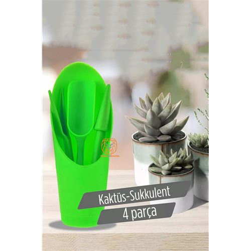 ModaCar Kaktüs Sukkulent Dikim Seti ModaCar Kaktüs Sukkulent Dikim Seti