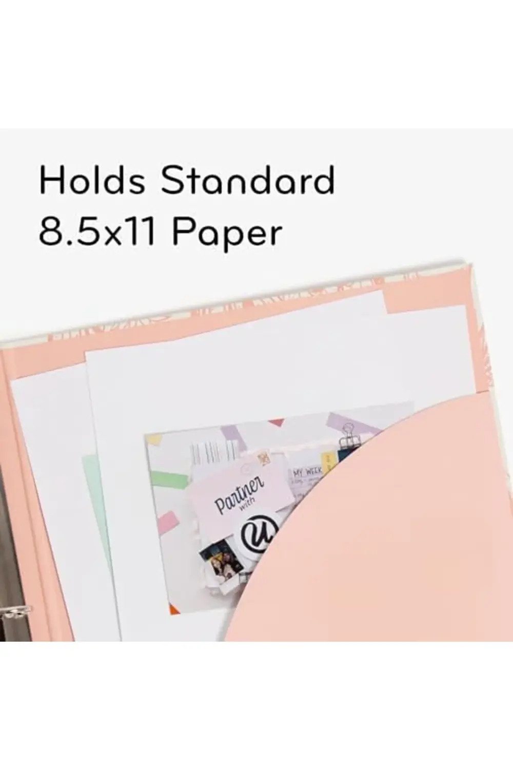 modaflux Brands Çevre Dostu Cilt Seti, Zeytin ve Somon, 2,5 cm Ha