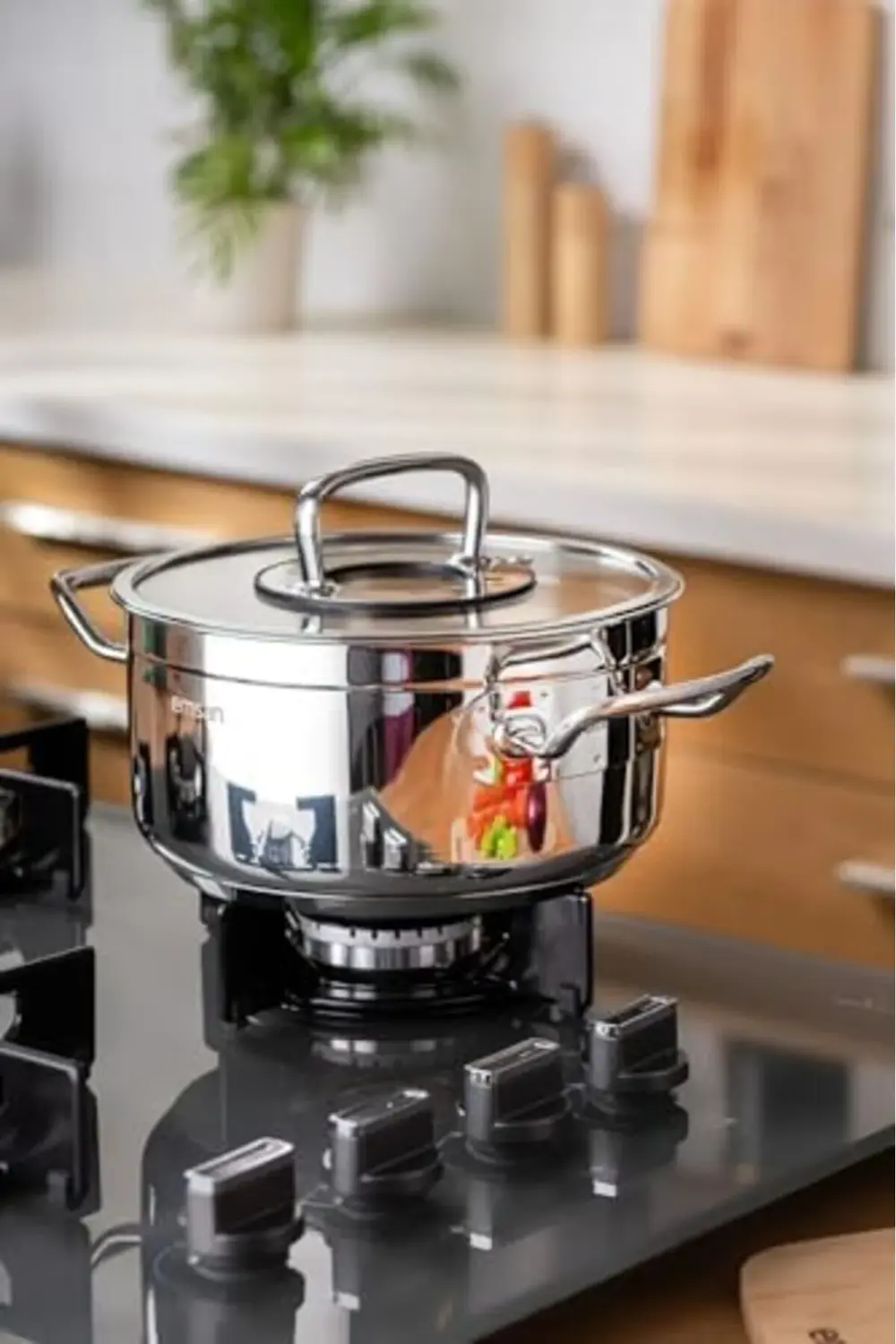 modaflux Derin Tencere 22 cm polynova 395519