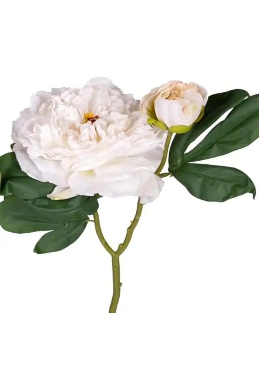modaflux Gül Tomurcuklu Beyaz 50 Cm. polynova 395519