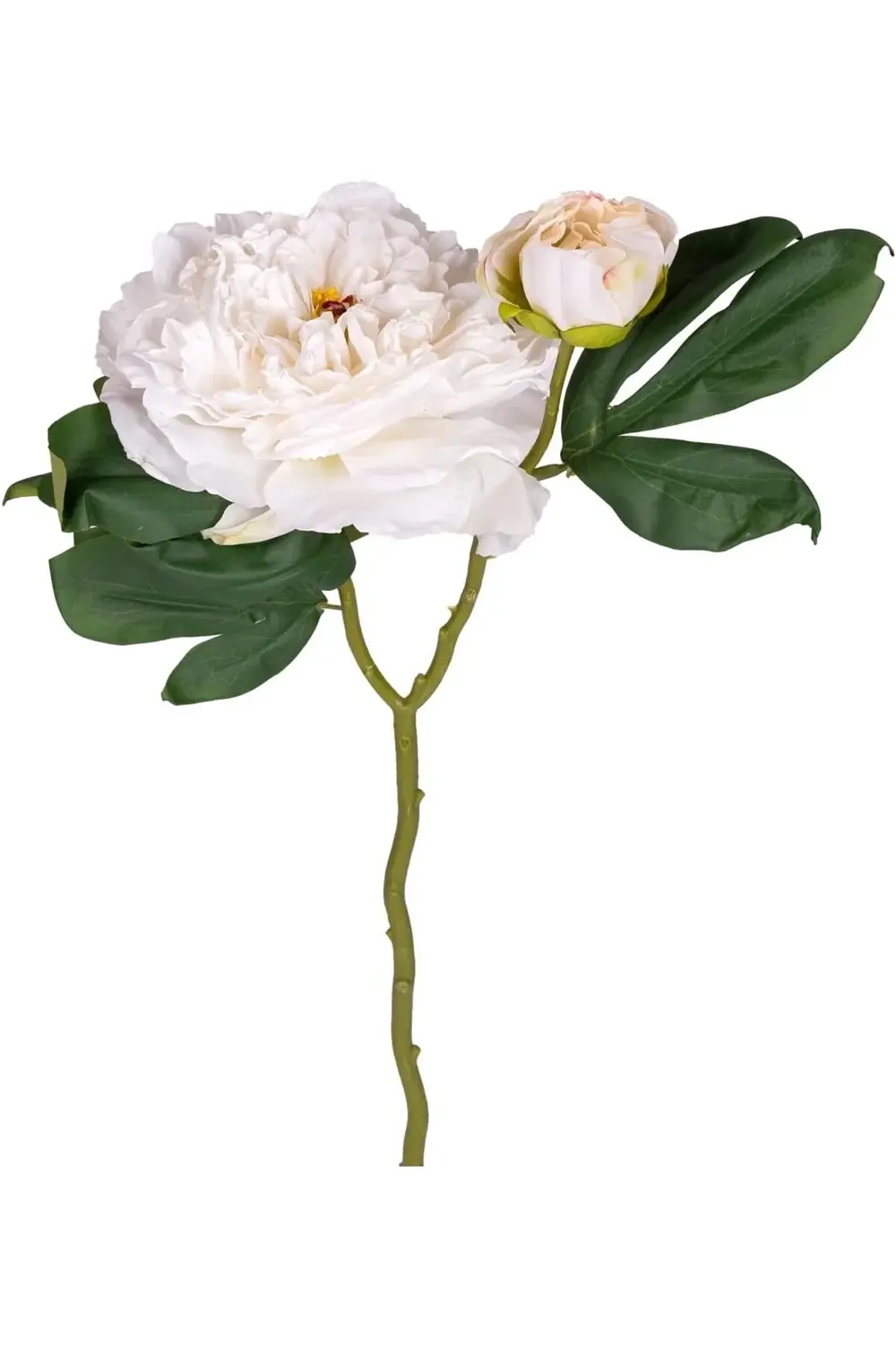 modaflux Gül Tomurcuklu Beyaz 50 Cm. polynova 395519