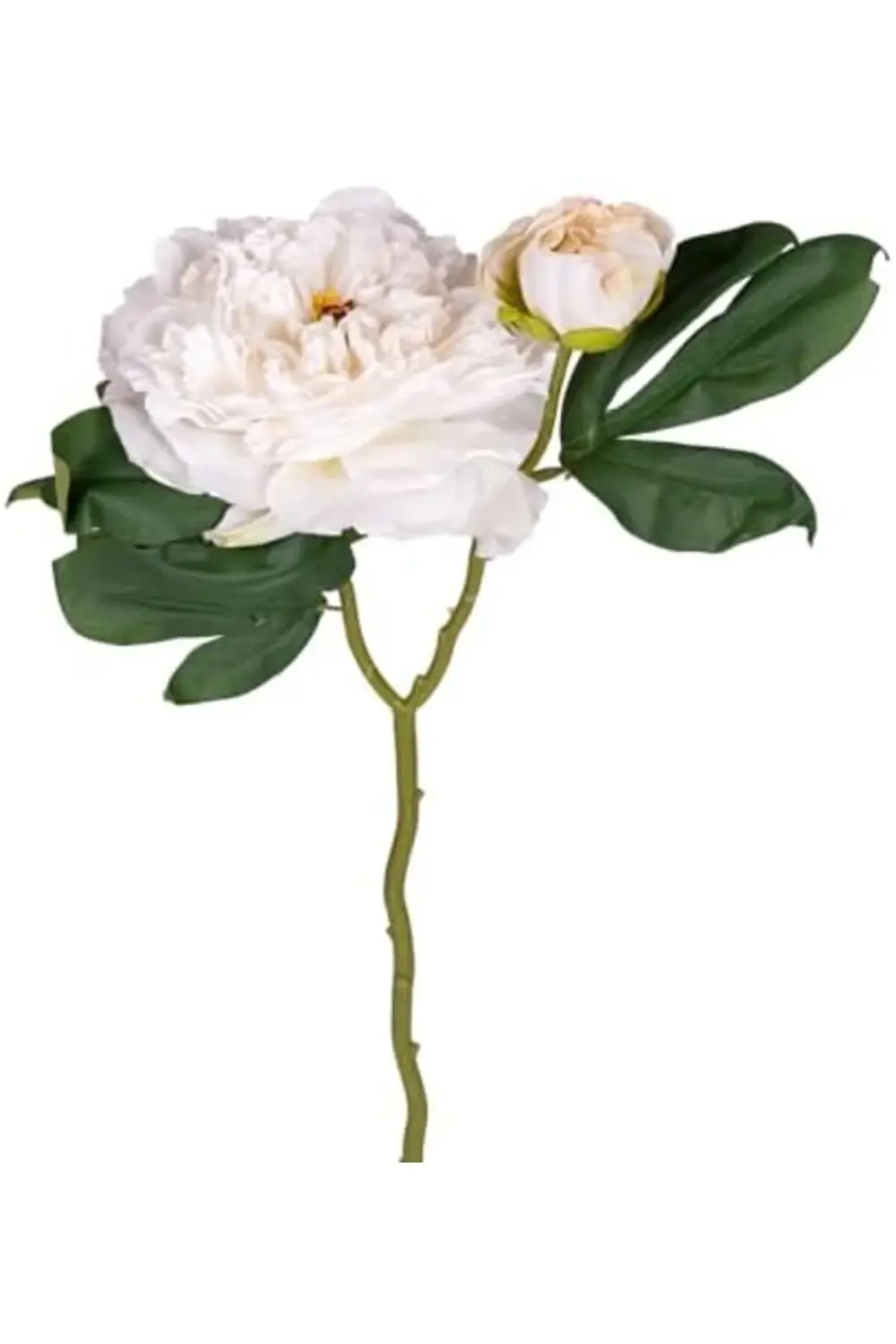 modaflux Gül Tomurcuklu Beyaz 50 Cm. polynova 395519