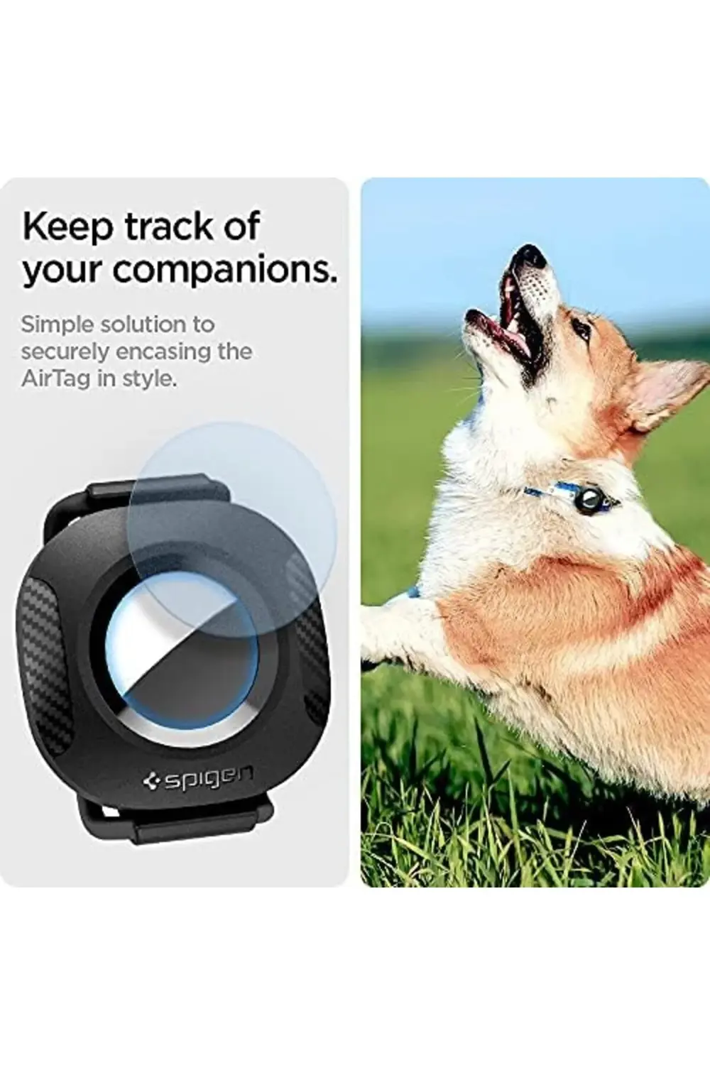 modaflux Kılıf Pet Collar - AHP03106 polynova 395519