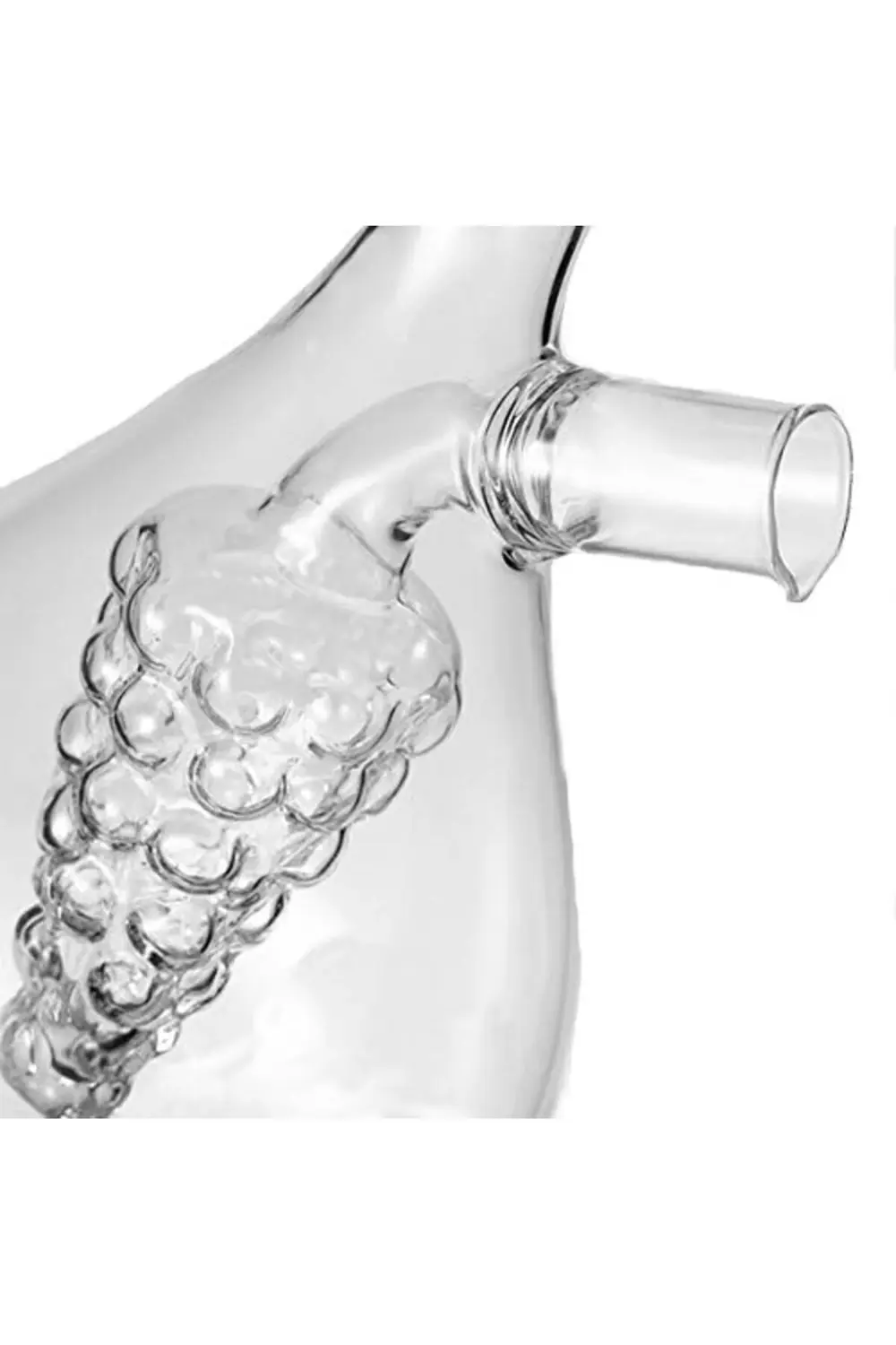 modaflux mutfak kutusu sirke ve yağ şişesi, biberlik Grape Cluste