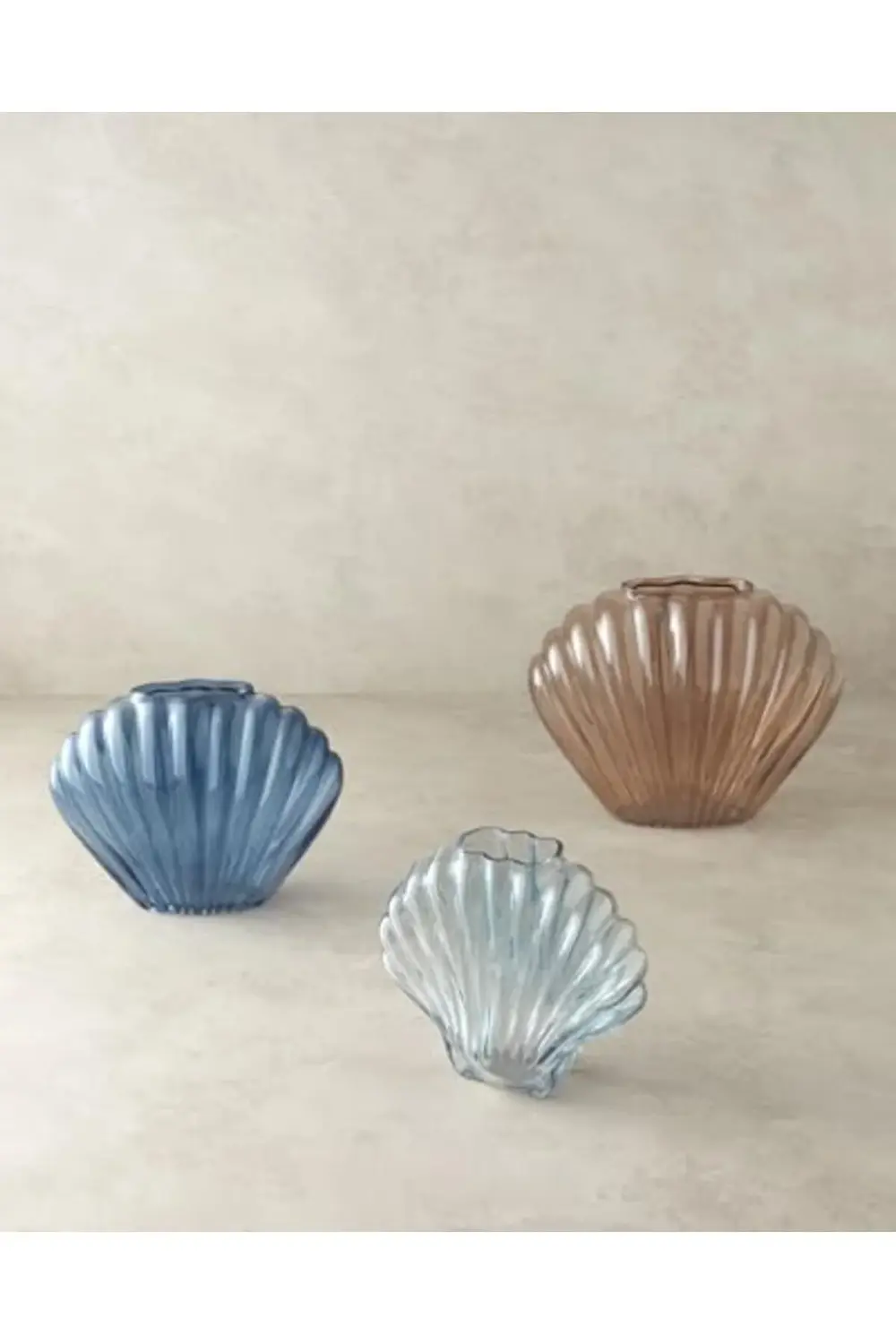 modaflux Shell Cam polynova 395519