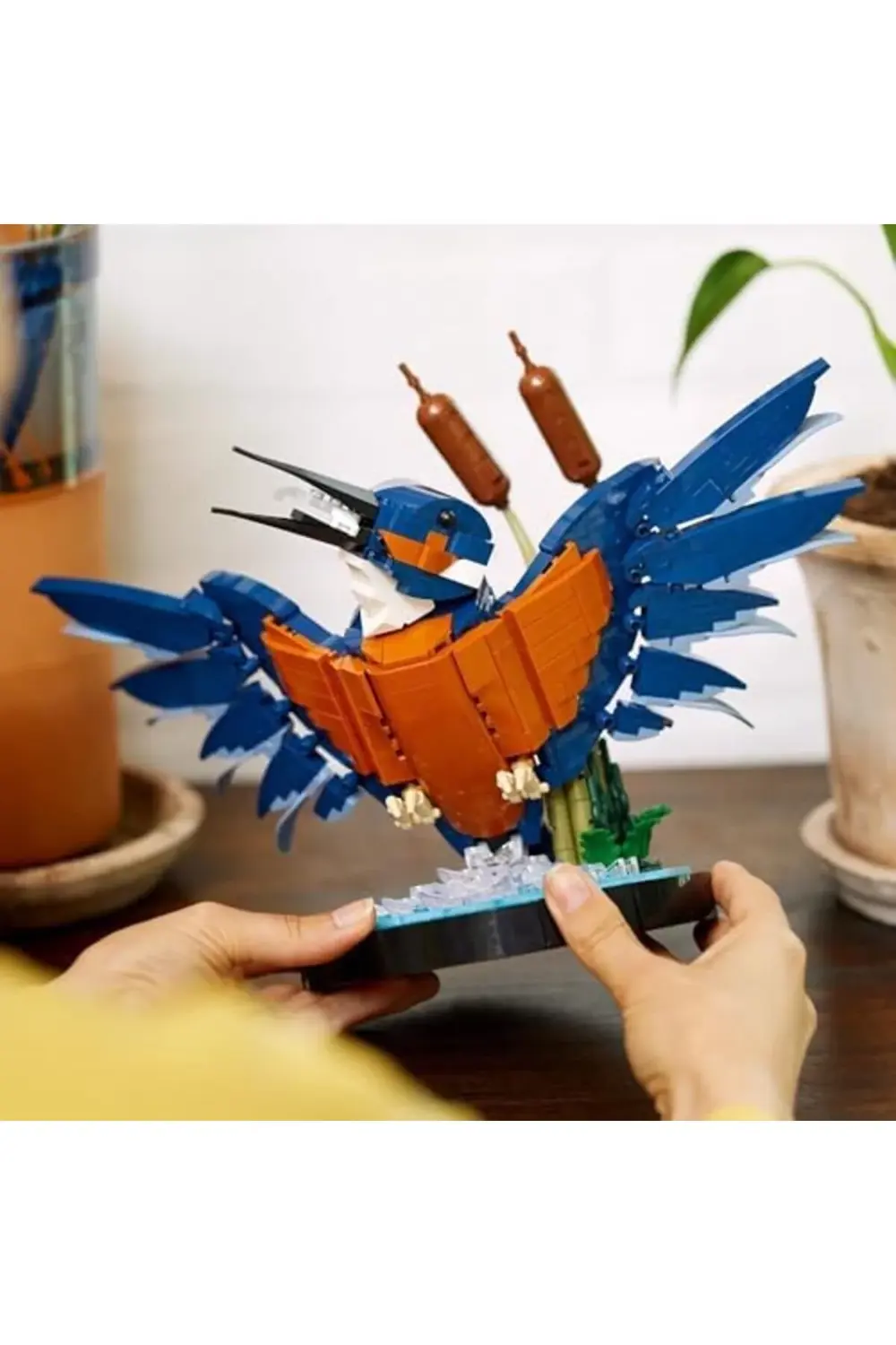 modaflux Yalıçapkını Kuşu 10331 - Kuş Sever Yetişkinler için, Ser