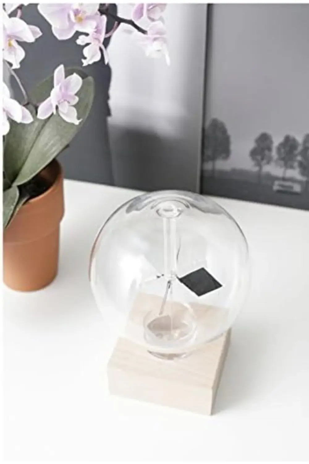 modashine Deko, ahşap, cam, şeffaf, 11,8 x 11.2 X 15,9 cm polymix