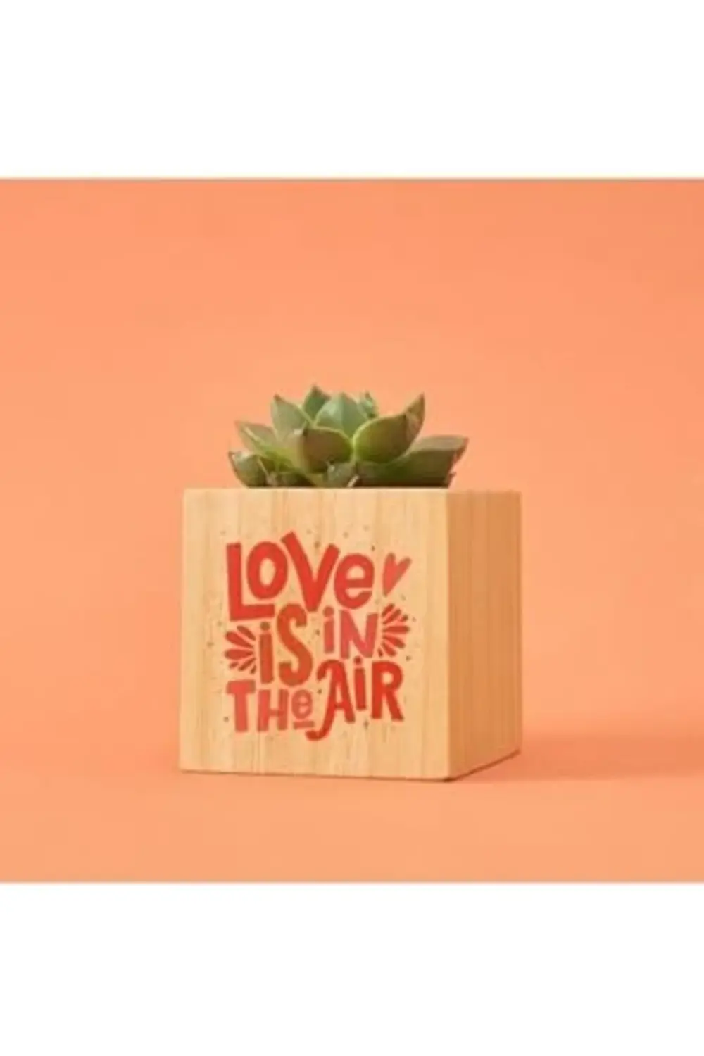 modashine Tasarımlı Aşk Hediye Kutusu modavibe 1154065