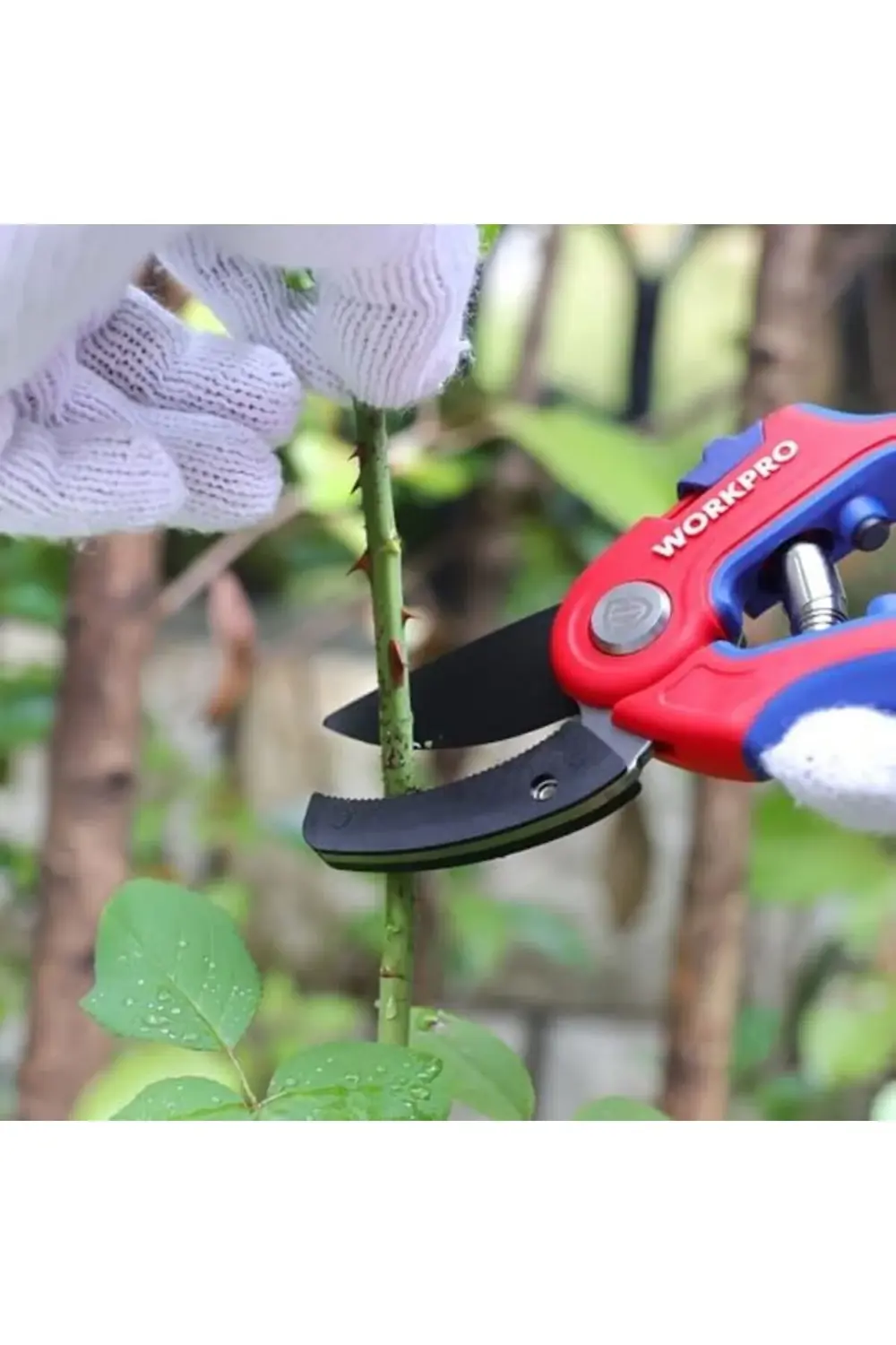 modashine WP332010 Profesyonel Bağ Bahçe Dal Budama Makası polymi