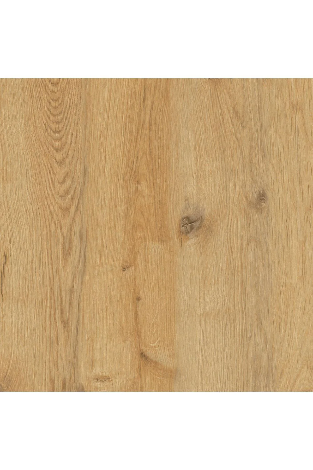 Modern 5 Raflı Kitaplık Dekoratif Kitaplık Çam