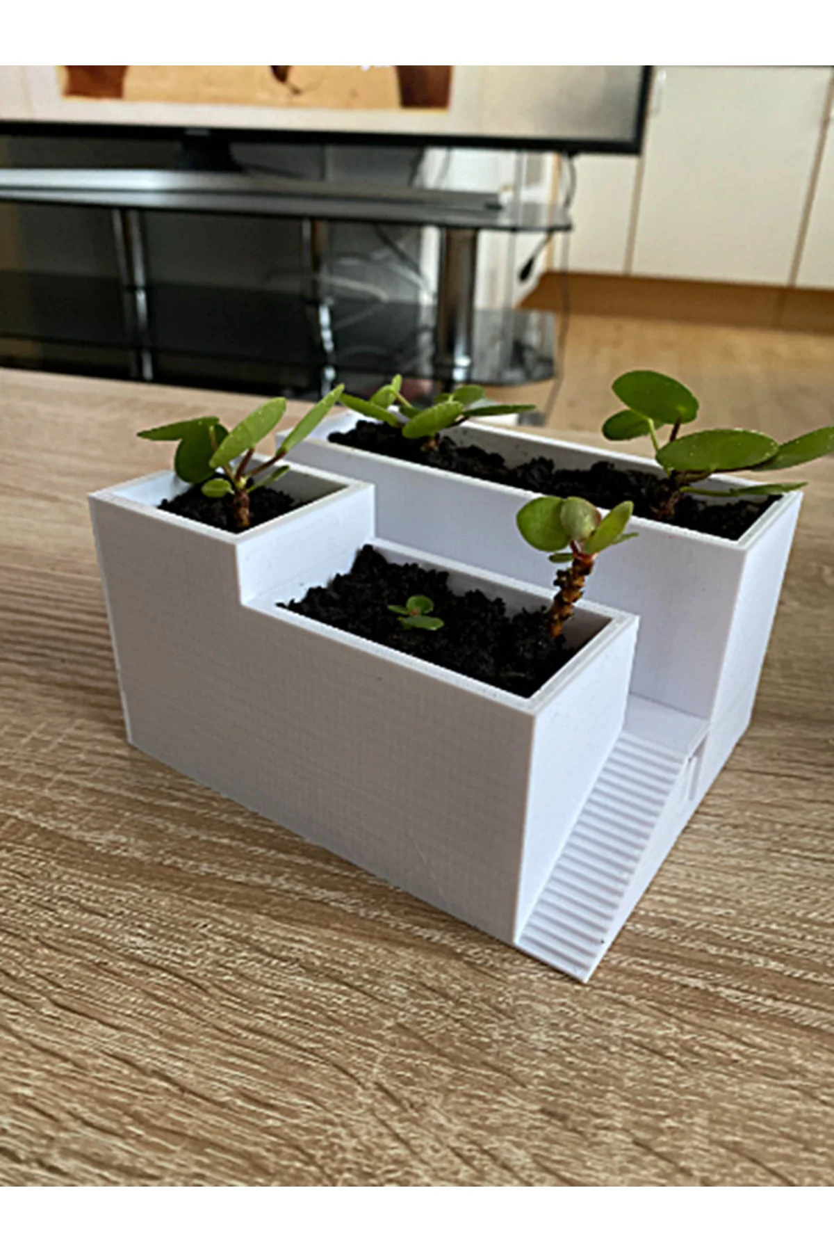 Modern Bina Görünümlü Saksı 12 Cm