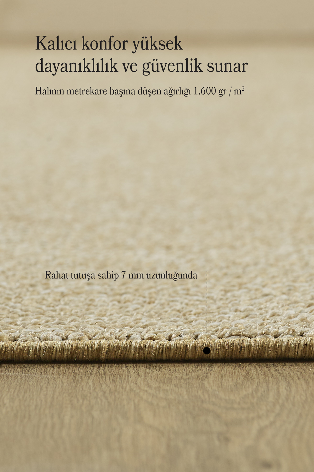 Modern Desenli Cool Halı Sisal Halı Bukleli Halı Bej Halı Düz Ren Fiyatı, Yorumları ve Özellikleri