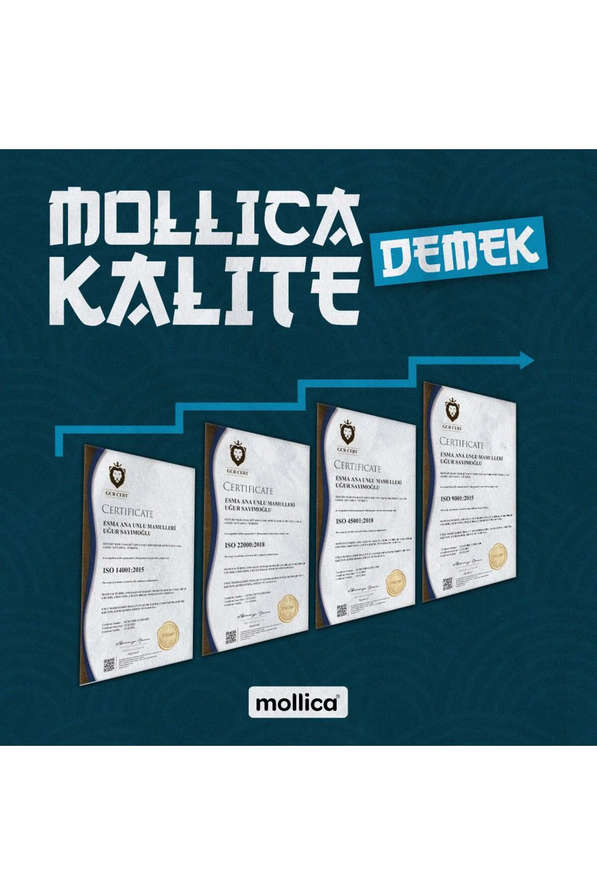 MOLLİCA PANKO EKMEK KIRINTISI 1 KG MOLLİCA PANKO EKMEK KIRINTISI 1 KG - Görsel 4