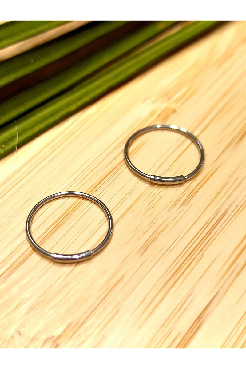 Monalisa Home Gümüş Renk  Halka Unisex Çelik Küpe