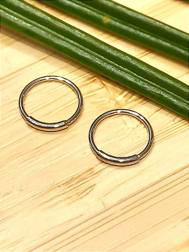 Monalisa Home Gümüş Renk 10 mm Halka Unisex Çelik Küpe