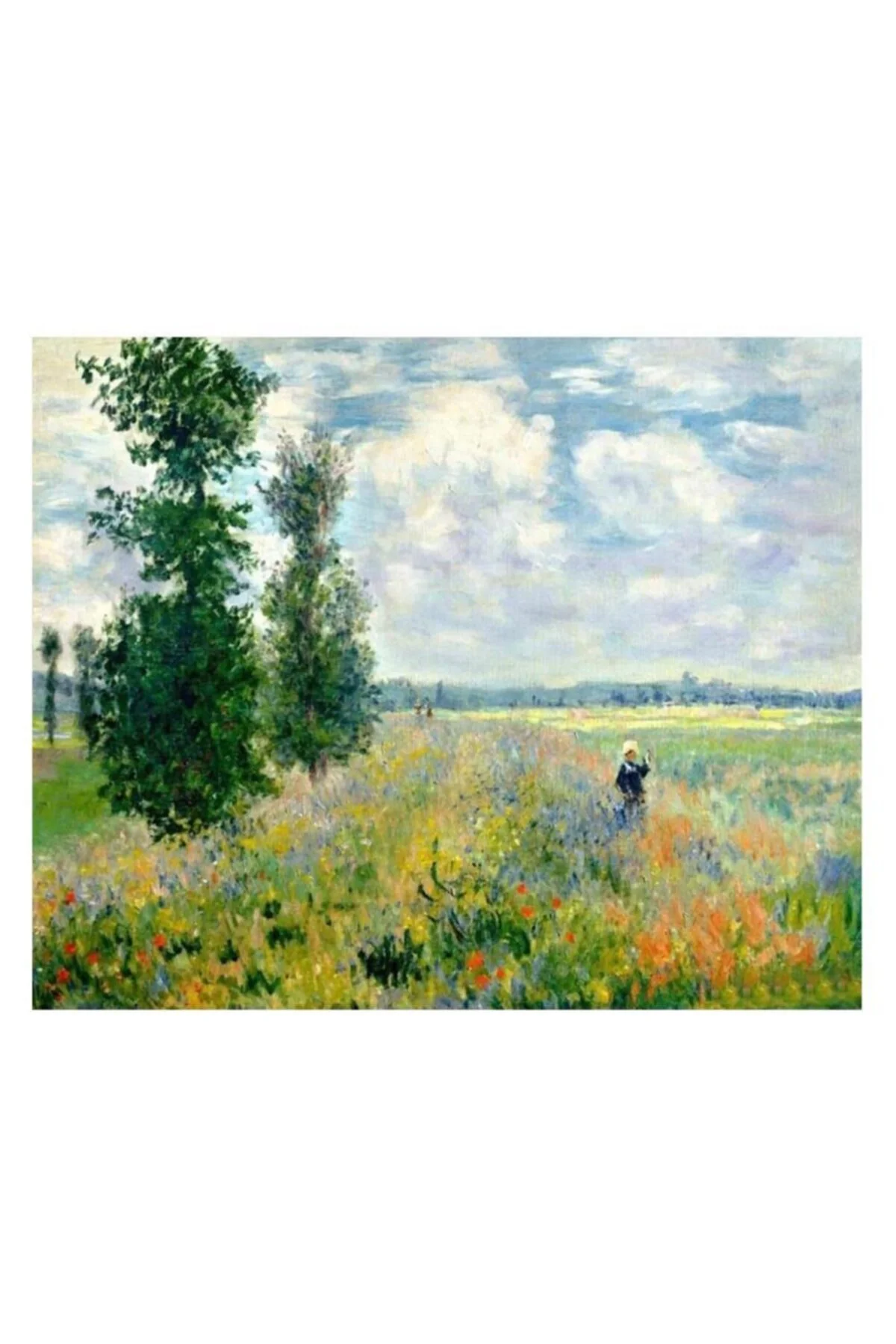 Monet Hashas Bahçesi Sayılarla Boyama Seti