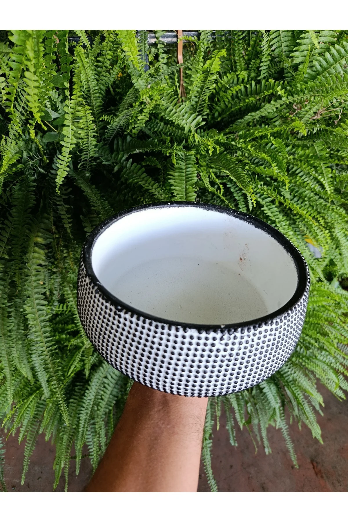 Monokrom Noktalı Modern Geniş Saksı 21*10 cm - Görsel 10