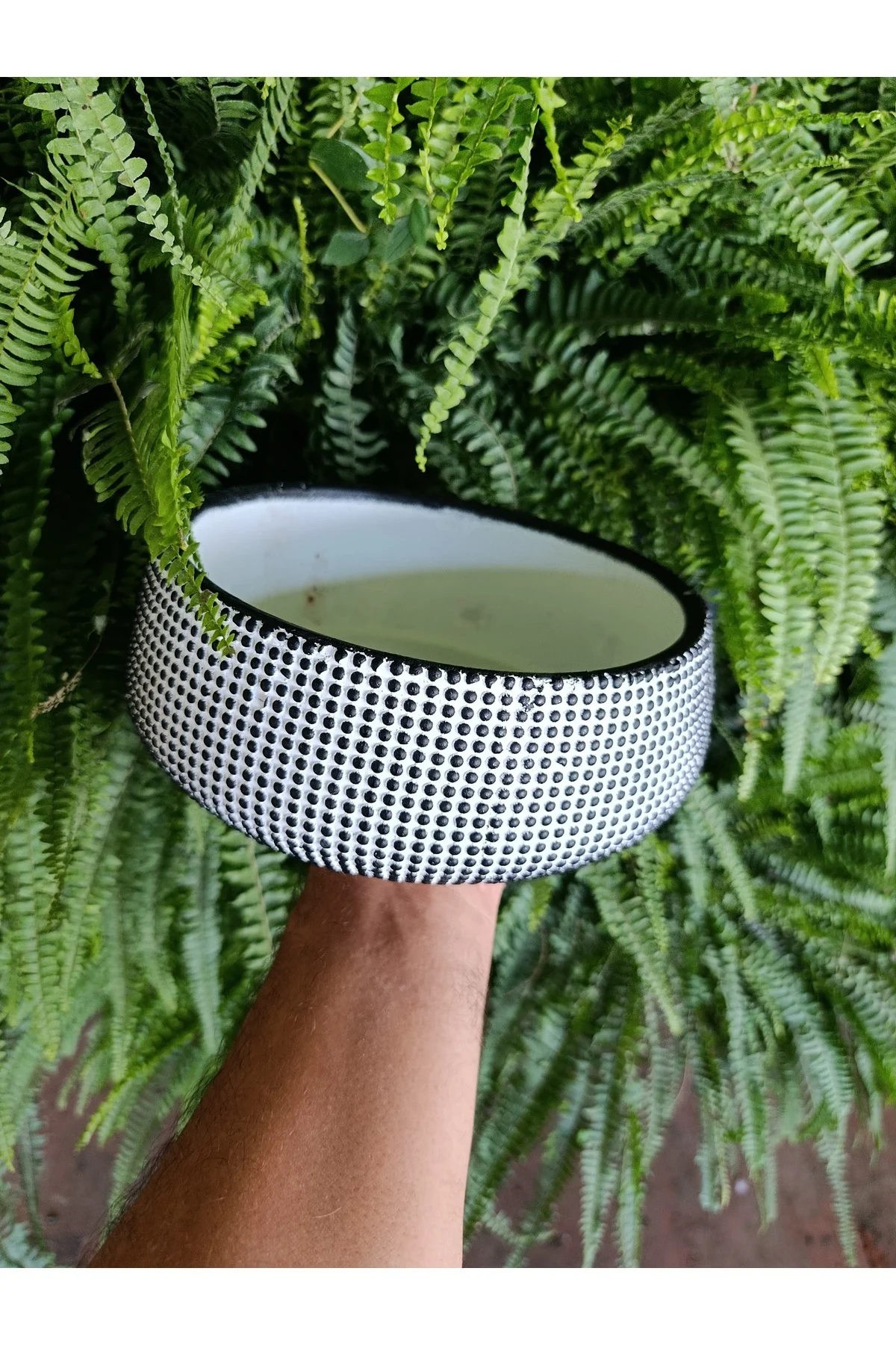 Monokrom Noktalı Modern Geniş Saksı 21*10 cm - Görsel 7