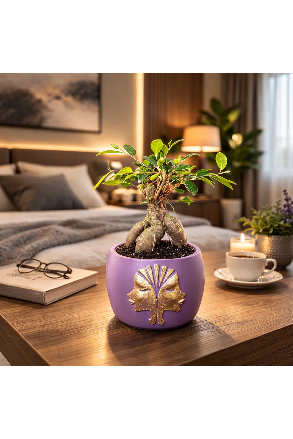Mor Dekoratif Saksıda Ficus Ginseng Bonsai – Mini Masaüstü Ofis v
