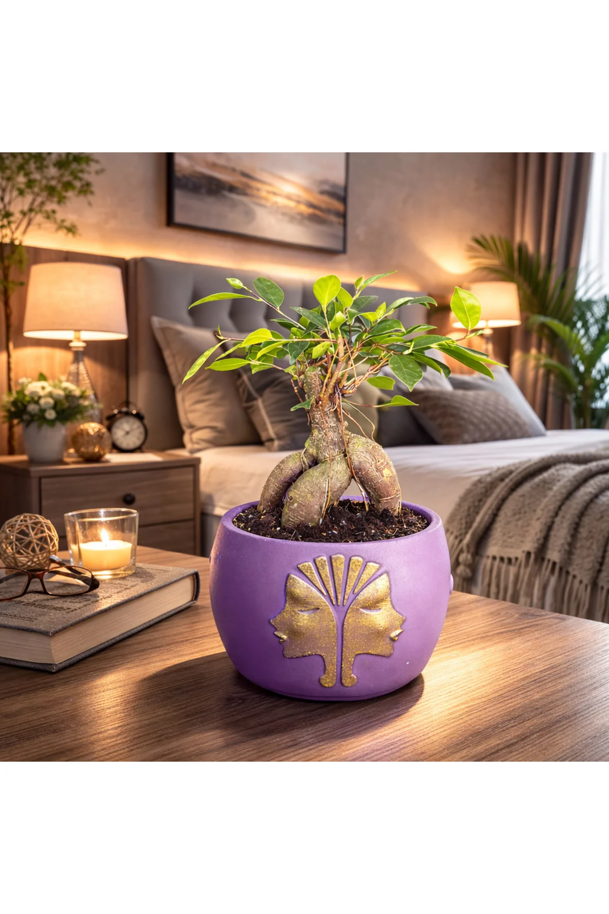 Mor Dekoratif Saksıda Ficus Ginseng Bonsai – Mini Masaüstü Ofis v
